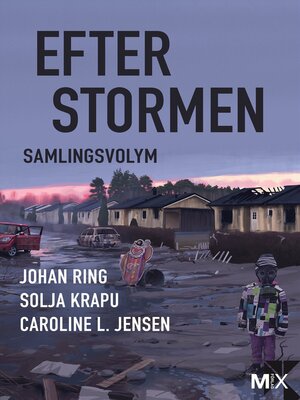 cover image of Efter stormen